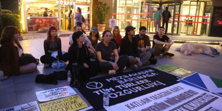 Hayvan severler açlık grevinin 2’nci gününde