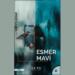Luvi Yayınları’ndan ‘Esmer Mavi’