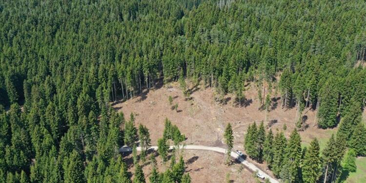 Dava açan ekolojistlerden 180 bin TL keşif bedeli istendi