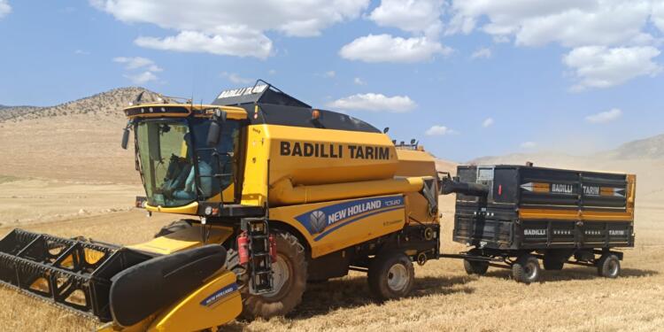 Mêrdîn’de ilk hasat yapıldı: Kuraklık verimi düşürdü
