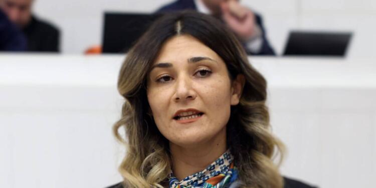 Kadınların barış sürecine aktif katılımı için Meclis Araştırması talebi