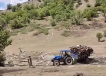 Besta’da orman kıyımı asker gözetiminde sürüyor