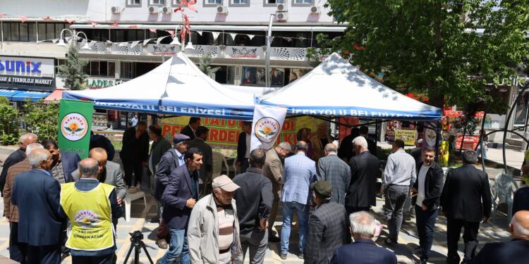 Wan’da Kürt Dil Bayramı etkinlikleri devam ediyor