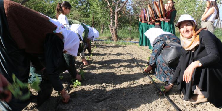Kadın Kent Bostanı’nın ilk fideleri toprakla buluştu