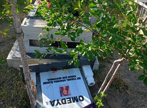 YJA Starlı Revan Zana Barıştıran’ın mezarı tahrip edildi