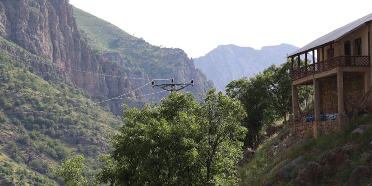 Çığ bölgesinde ağaç kesiyorlar