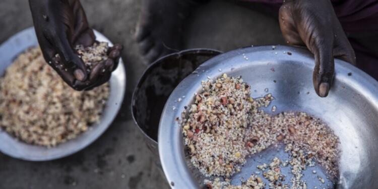 BM’den Güney Sudan için açlık ve kıtlık uyarısı