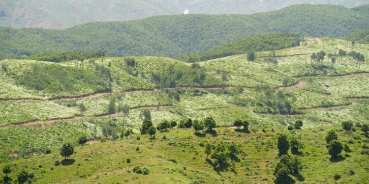 Talana karşı Şêxan’ın dirilişi