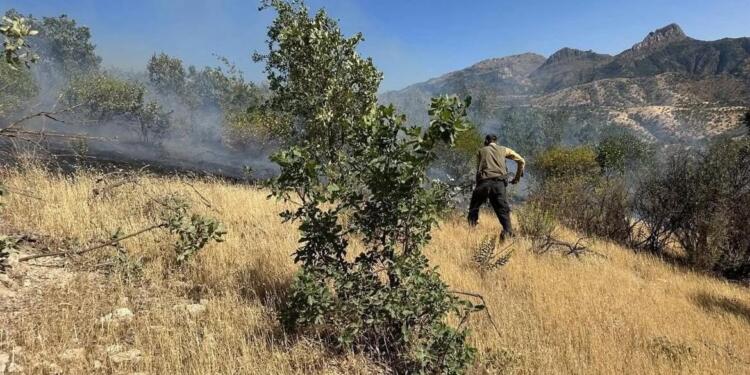 Cûdî’deki yangın söndürüldü