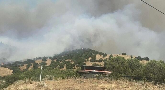 Aydın’da orman yangını