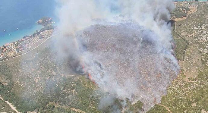 İzmir’de orman yangını