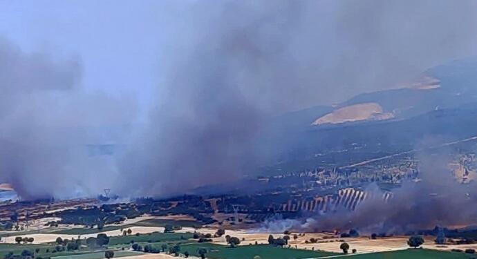 İzmir ve Manisa’da orman yangını