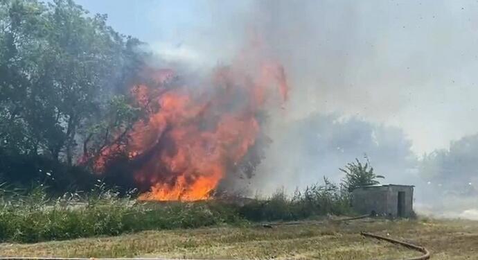 İzmir ve Balıkesir’de tarım alanlarında yangın çıktı