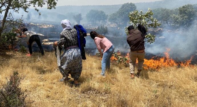 Şemrex’te orman yangını: Bir noktada kontrol atına alındı, başka yerde çıktı