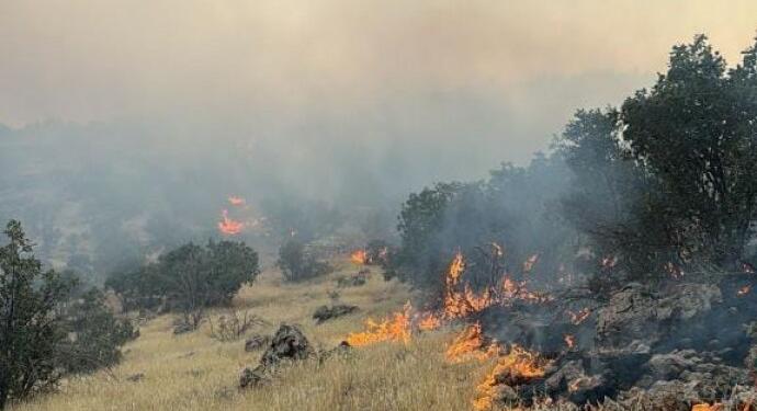 Omerya’daki yangın kontrol altına alındı