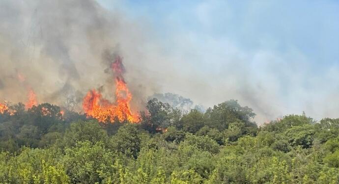 Bursa’da orman yangını: Müdahale sürüyor