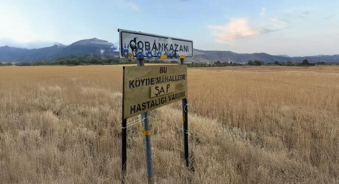 Basa’da şap hastalığı