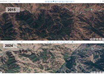 İhalenin adı: Teröre müzahir bölge!