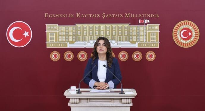 DEM Parti’den komisyon çağrısı: Meclis sorumluluk almalı