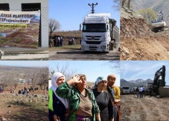 Hedef ekolojik ve özgürlükçü bir barış