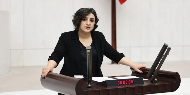 Çocuğa tecavüz Meclis gündemine taşındı