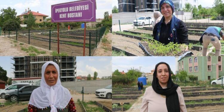 Kent Bostanı projesinde kadınlar dayanışmayı örgütlüyor