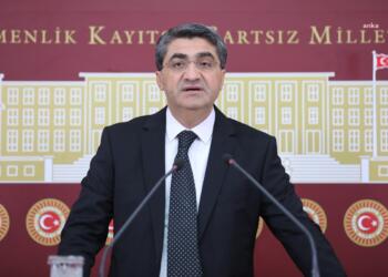 Ekmen: Silahın bırakılması sonrasında özel yasaya ihtiyaç var