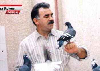 Özgürlüğe akış 