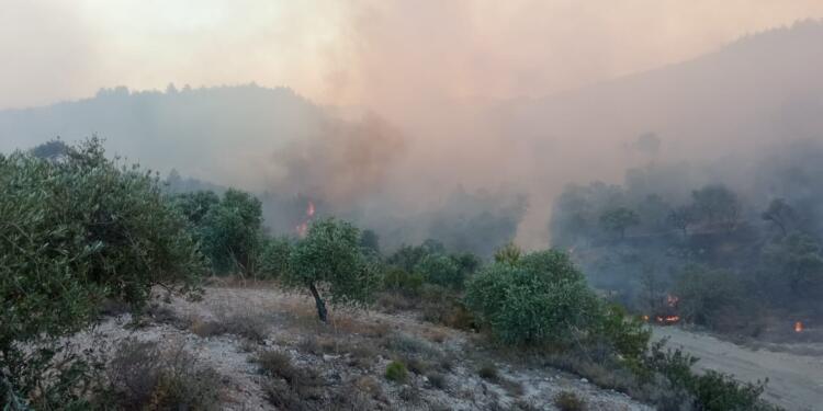 Antakya’da yangın sürüyor: 500 kişi tahliye edildi