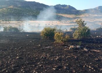 DEDAŞ tazminata mahkum edildi: Önlem almamakta ısrarcı