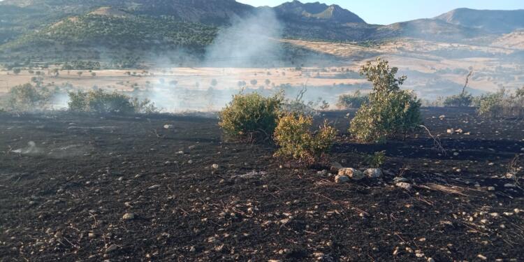 DEDAŞ tazminata mahkum edildi: Önlem almamakta ısrarcı