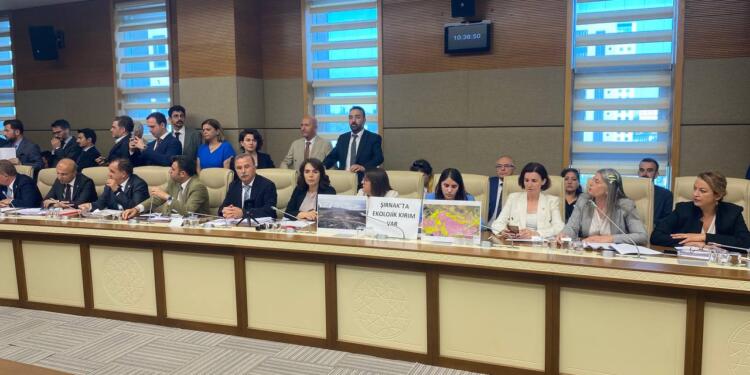 Meclis’te zeytinlikleri madene açacak kanun teklifi görüşmeleri başladı