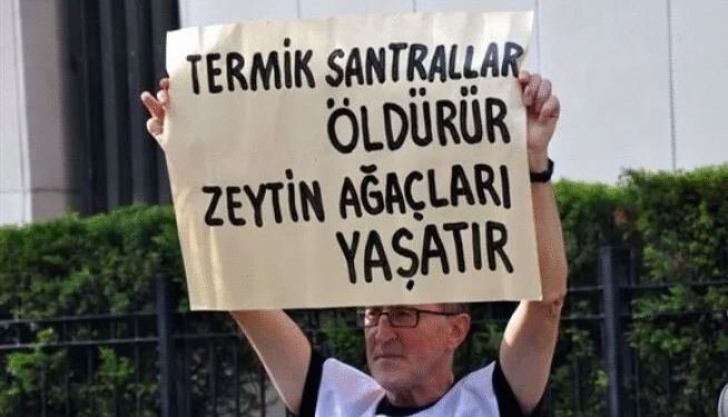 Kanun teklifi kabul edildi: Zeytinlikler maden talanına açılacak