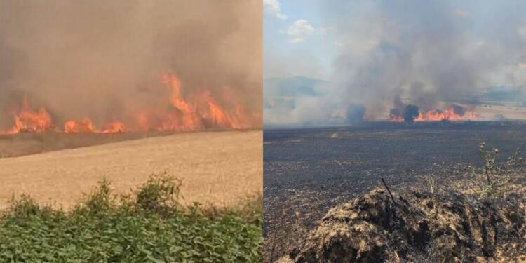 Çanakkale, İzmir ve Aydın’da orman yangını