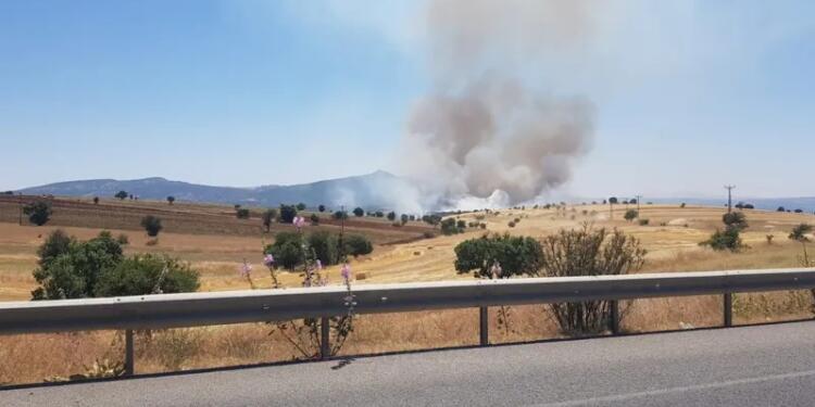 Muğla, Balıkesir ve Uşak’ta yangın