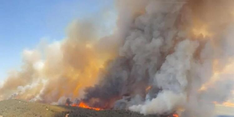 Aliağa ve Foça’da yangın
