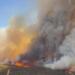 Aliağa ve Foça’da yangın