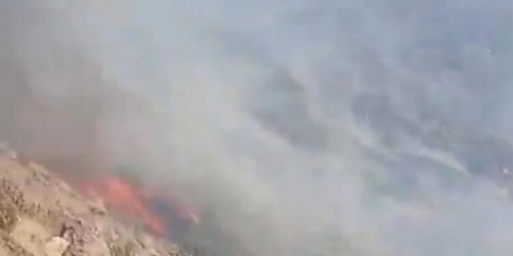 Çiğli’de orman yangını