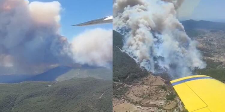 İzmir’in 2 ilçesinde orman ve zeytinlik alanlarda yangın çıktı