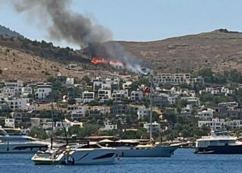 BODRUM TÜRKBÜKÜ'NDE MAKİLİK YANGINI