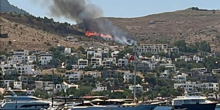 Bodrum’da makilik alanda yangın
