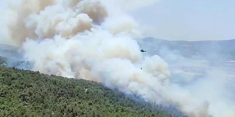 Manisa ve Muğla’da orman yangını