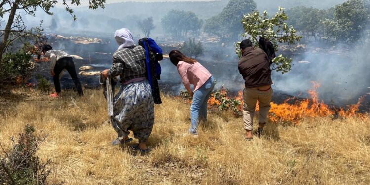 Şemrex’te tarım arazisinde yangın