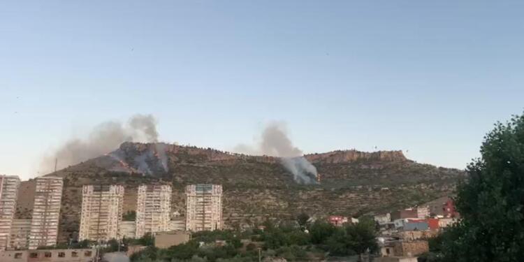 Mêrdîn Kalesi’nin etrafında yangın çıktı