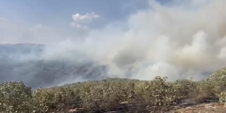 Omerya bölgesinde çıkan yangın rüzgarın etkisiyle yayılıyor