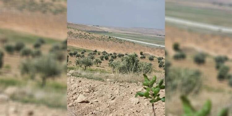 Türkiye, Kobanê’de çiftçilere ateş açtı
