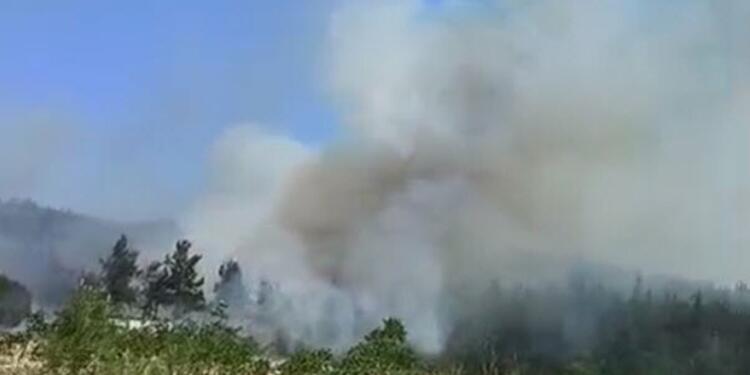 Çanakkale’de orman yangını