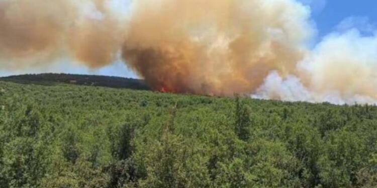 Birçok yerde orman yangını çıktı