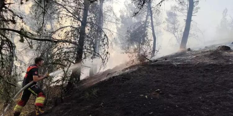 Balıkesir’de orman yangını