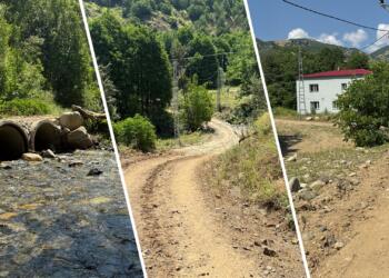 Amed-Mûş sınırında bir mahalle: Yol ve su sorunlarımız çözülsün